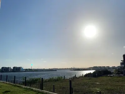 Ferienwohnung für 4 Personen (56 m²) in Kappeln 2/10