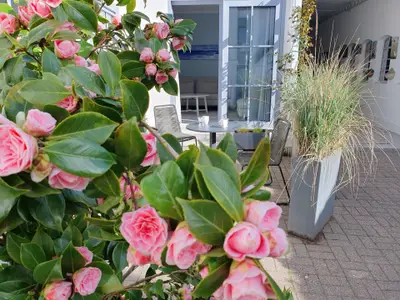 Ferienwohnung für 2 Personen (50 m²) in Kappeln 3/10