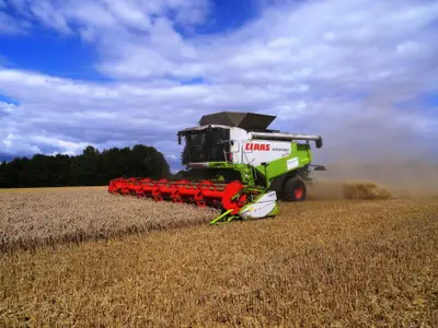 Erntezeit auf dem Hansenhof