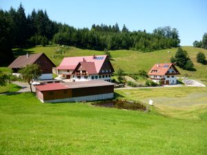 19041927-Ferienwohnung-6-Kappelrodeck-300x225-3