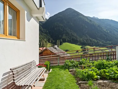 GardenSummer