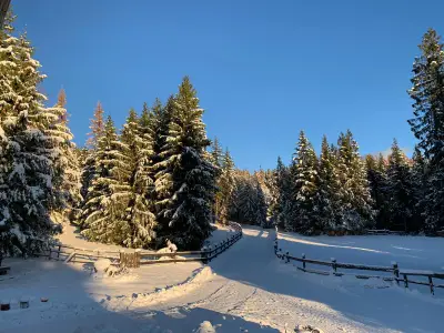 Winterlandschaft