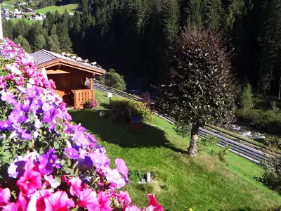 Ferienwohnung für 4 Personen (56 m²) in Kappl 9/10