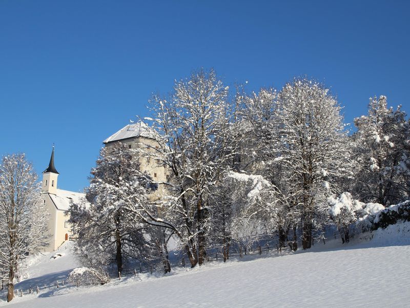 23952664-Ferienwohnung-5-Kaprun-800x600-1