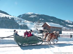 23851376-Ferienwohnung-4-Kaprun-300x225-5