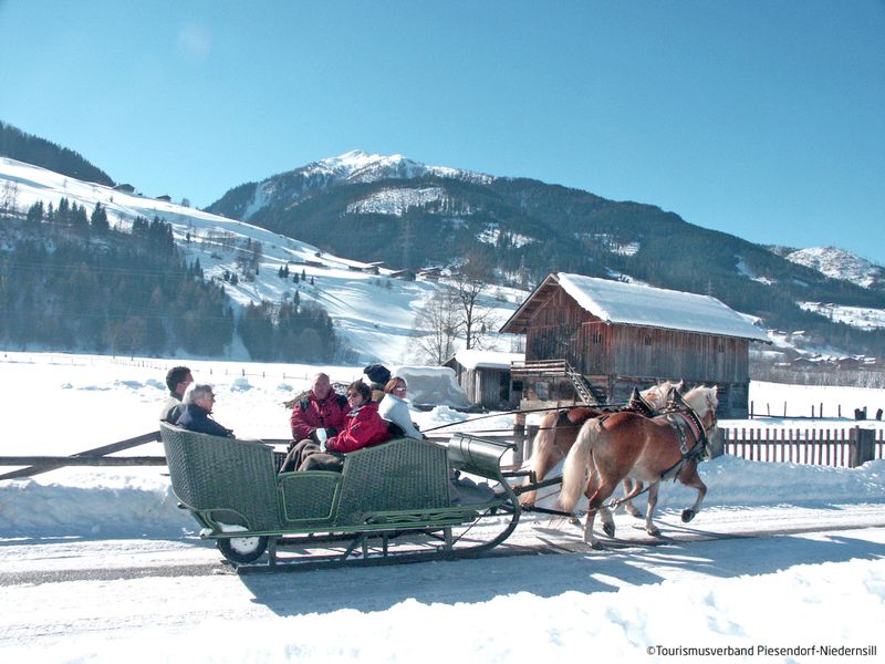 23858575-Ferienwohnung-6-Kaprun-800x600-1