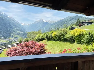 ViewSummer