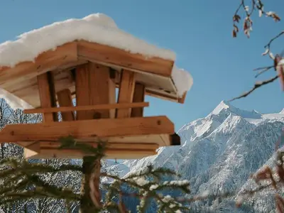 idyllischer Ausblick vom Apartment aufs Kitz