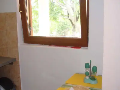 Ferienwohnung für 4 Personen (42 m²) in Karlobag 9/10