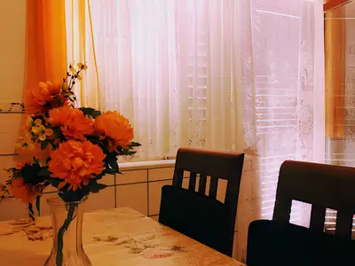 Ferienwohnung für 4 Personen (80 m²) in Karlobag 10/10