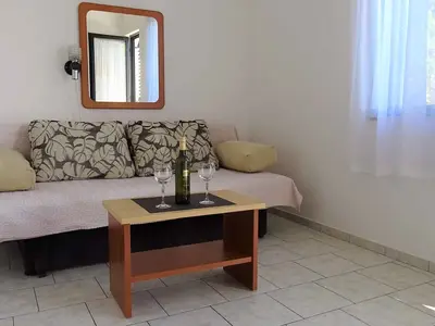 Ferienwohnung für 3 Personen (35 m²) in Ribarica 1/10