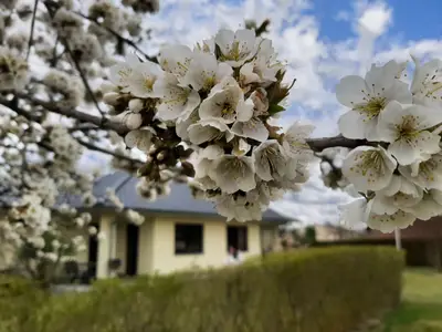 Gartenblick