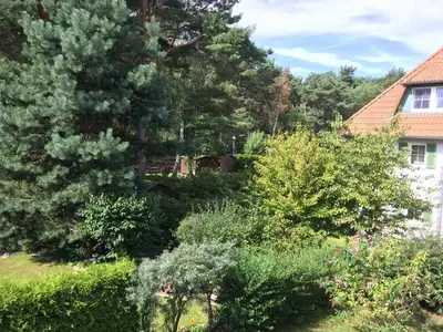 Ferienwohnung für 4 Personen (75 m²) in Karlshagen 5/10