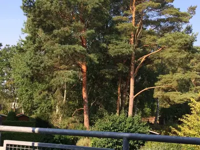 Ferienwohnung für 4 Personen (75 m²) in Karlshagen 10/10