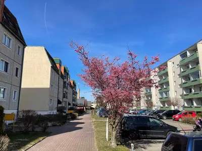 Ferienwohnung für 5 Personen (62 m²) in Karlshagen 2/10