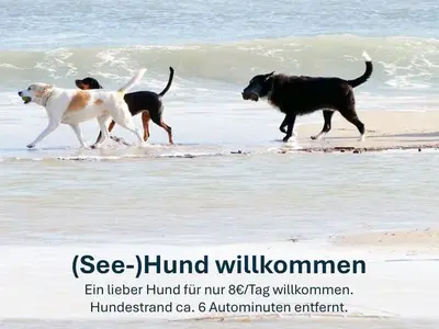 Ferienwohnung für 5 Personen (75 m²) in Karlshagen 7/10
