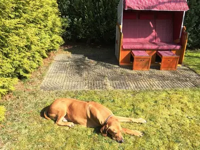 Ferienwohnung für 3 Personen (40 m²) in Karlshagen 8/10