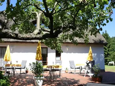 Ferienwohnung für 2 Personen (40 m²) in Karlshagen 8/10