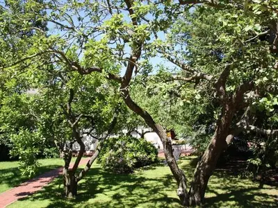 Ferienwohnung für 2 Personen (40 m²) in Karlshagen 10/10