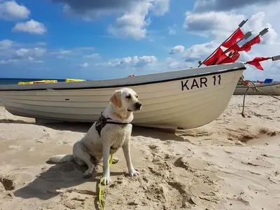 Ferienwohnung für 6 Personen (67 m²) in Karlshagen 7/10