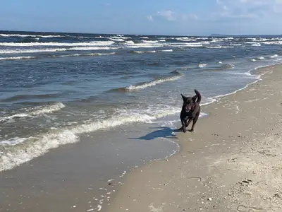 Ferienwohnung für 6 Personen (70 m²) in Karlshagen 4/10