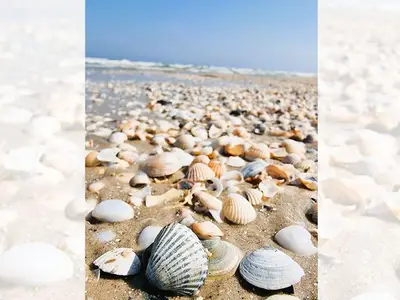 Ferienwohnung für 4 Personen (50 m²) in Karlshagen 7/10