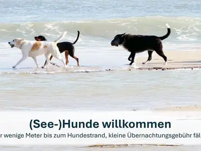 Ferienwohnung für 4 Personen (50 m²) in Karlshagen 9/10