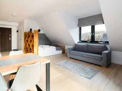 Ferienwohnung für 4 Personen (29 m²) in Karpacz 2/8