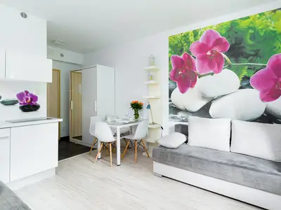 Ferienwohnung für 4 Personen (22 m²) in Karpacz 4/8