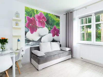 Ferienwohnung für 4 Personen (22 m²) in Karpacz 6/8