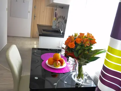 Ferienwohnung für 2 Personen (22 m²) in Karpacz 8/10