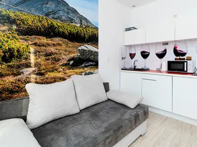 Ferienwohnung für 3 Personen (22 m²) in Karpacz 4/5