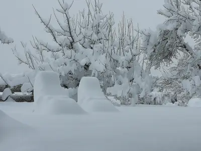 winter_im_garten