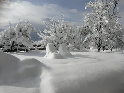 Wintermärchen