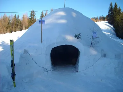Iglu