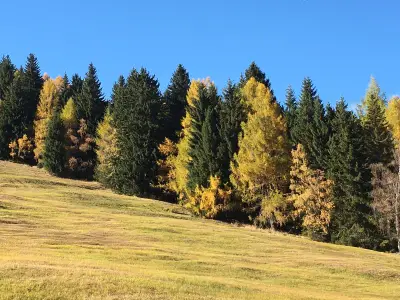 Herbstimpression
