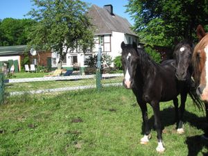 Ferienwohnung für 4 Personen in Kasseedorf