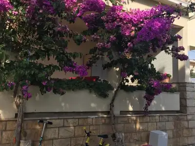Ferienwohnung für 2 Personen in Kaštel Gomilica 5/10