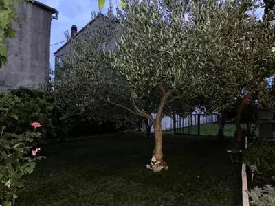 Ferienwohnung für 7 Personen in Kaštel Kambelovac 5/10