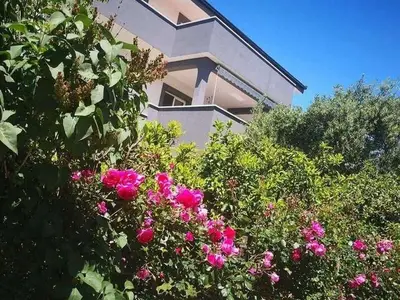 Ferienwohnung für 6 Personen in Kastel Stafilic 1/10