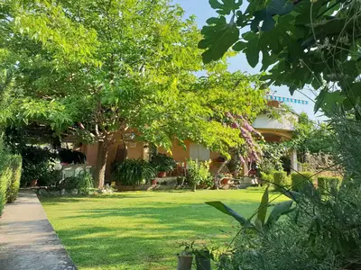 Outdoor