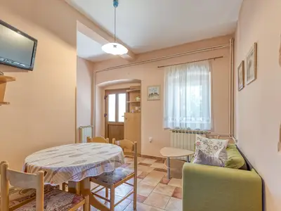Ferienwohnung für 4 Personen (45 m²) in Kaštelir 5/10
