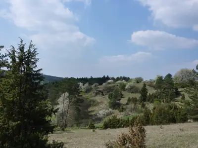 Umgebung Kastl