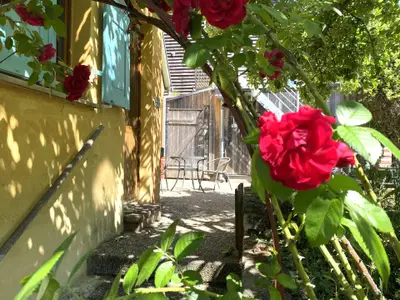 Bild 8