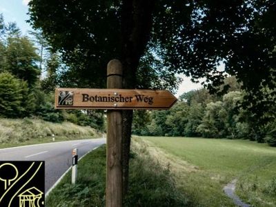 Botanischer Weg / Wandern