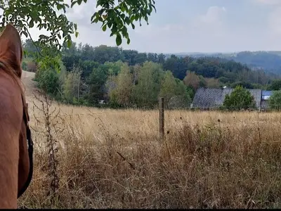 Wanderreiten