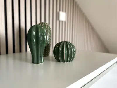 Dekto-Kakteen im Schlafzimmer