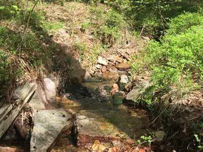 Natur