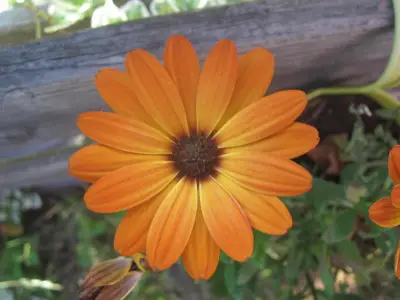 Der Sommer lässt grüßen