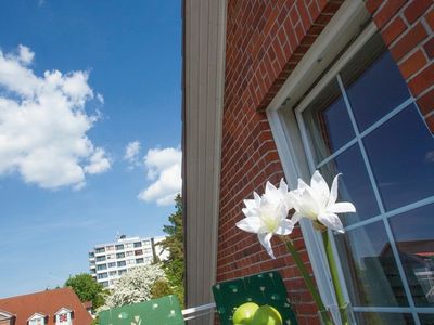 Ferienwohnung für 2 Personen (48 m²) in Kellenhusen 6/10